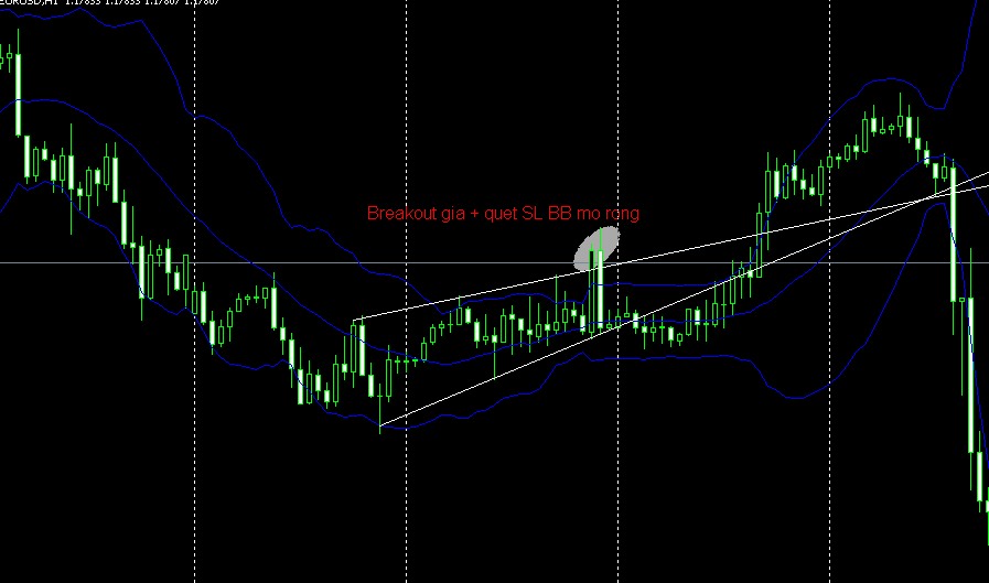 breakout bolligerband