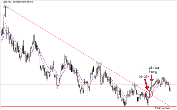 BE GAY TRENDLINE