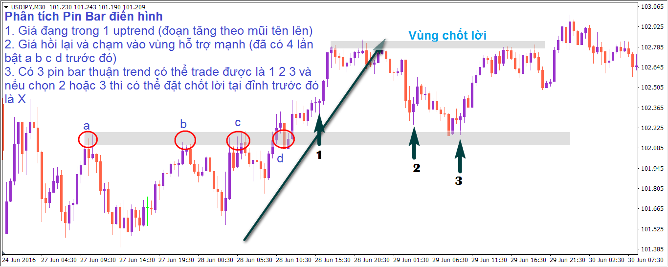 Lắp ghép hệ thống giao dịch Pin Bar