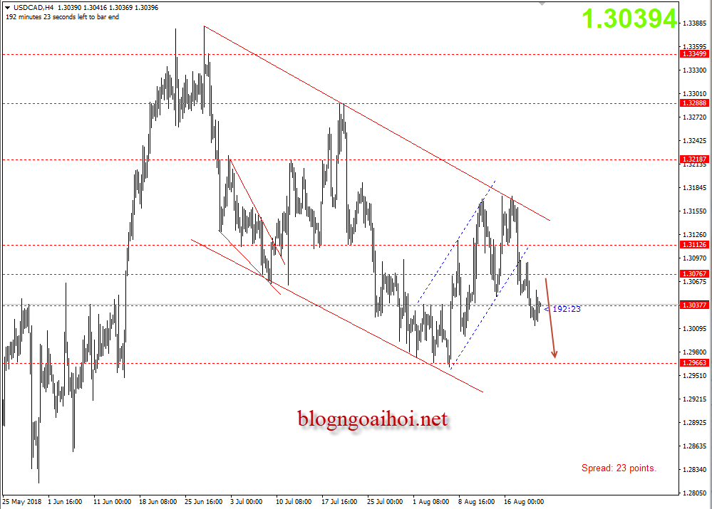 Loonie 22/8 -giảm