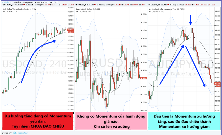 Momentum là gì ? Giao dịch Forex theo momentum