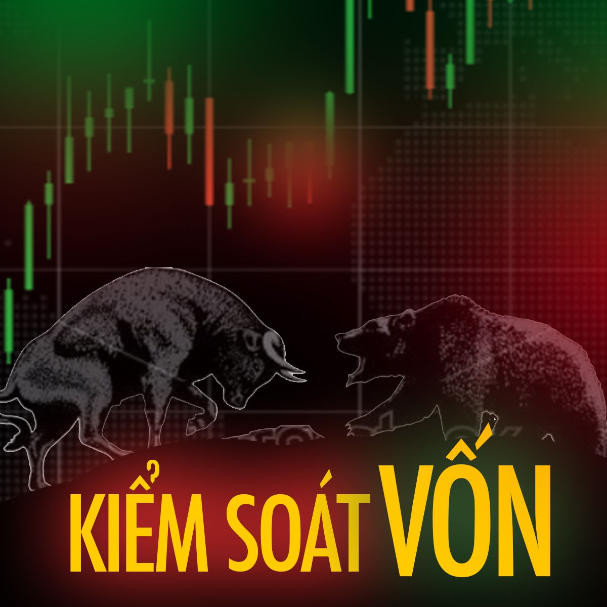 CÁC KIỂU QUẢN LÝ VỐN TRONG GIAO DỊCH FOREX