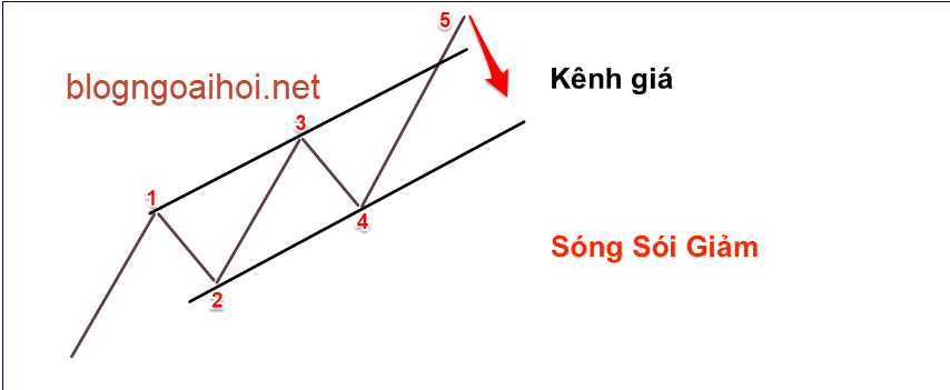 Hệ thống giao dịch theo sóng wolf waves