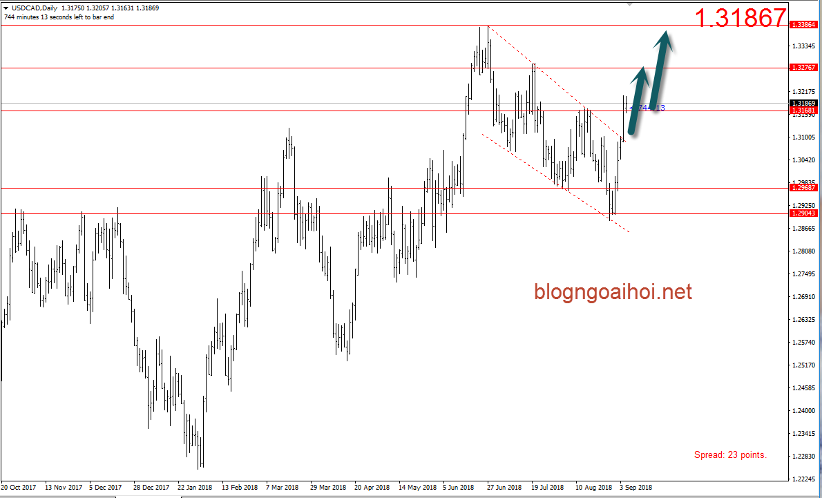 USDCAD 5/9-tăng