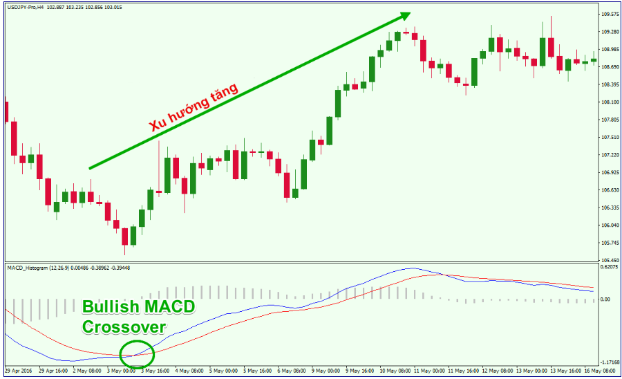 tin hieu tang macd