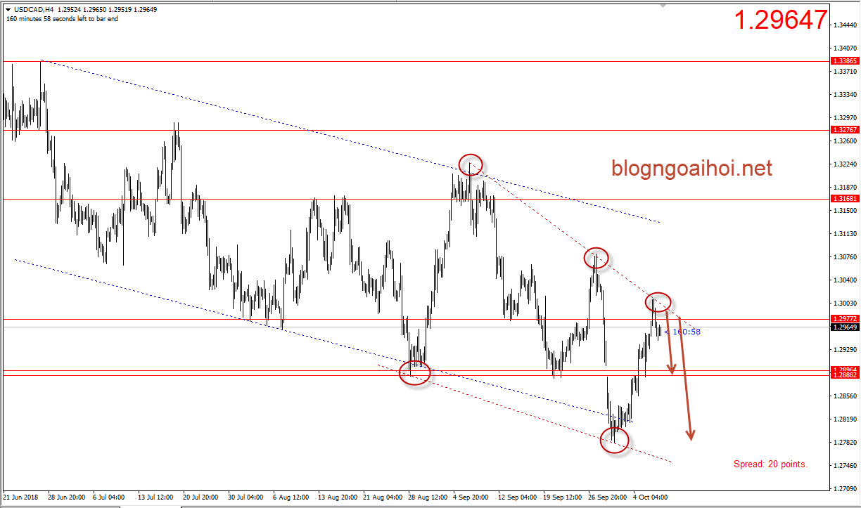 Loonie 9/10-giảm