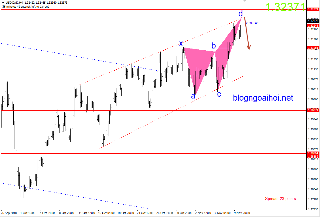 Loonie 13/11-harmonic giảm