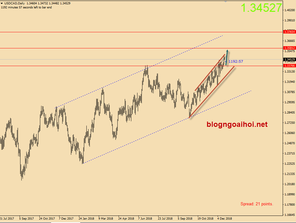 USDCAD 19/12-tăng