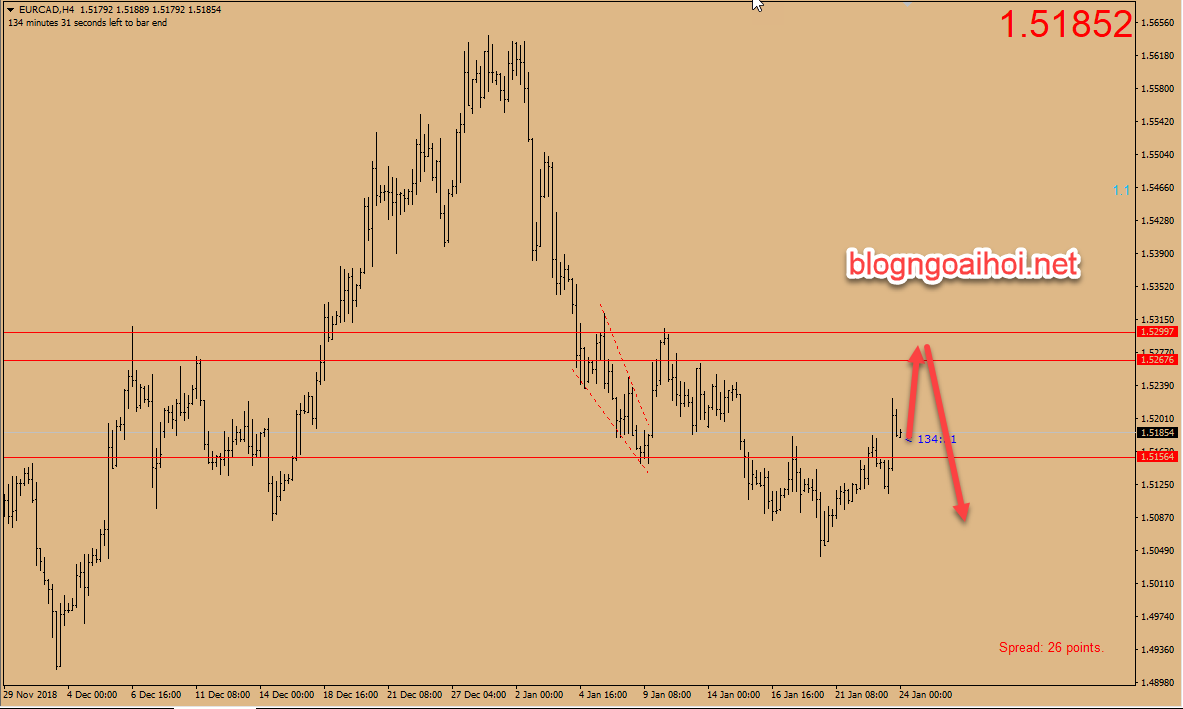 du bao eurcad 24 1