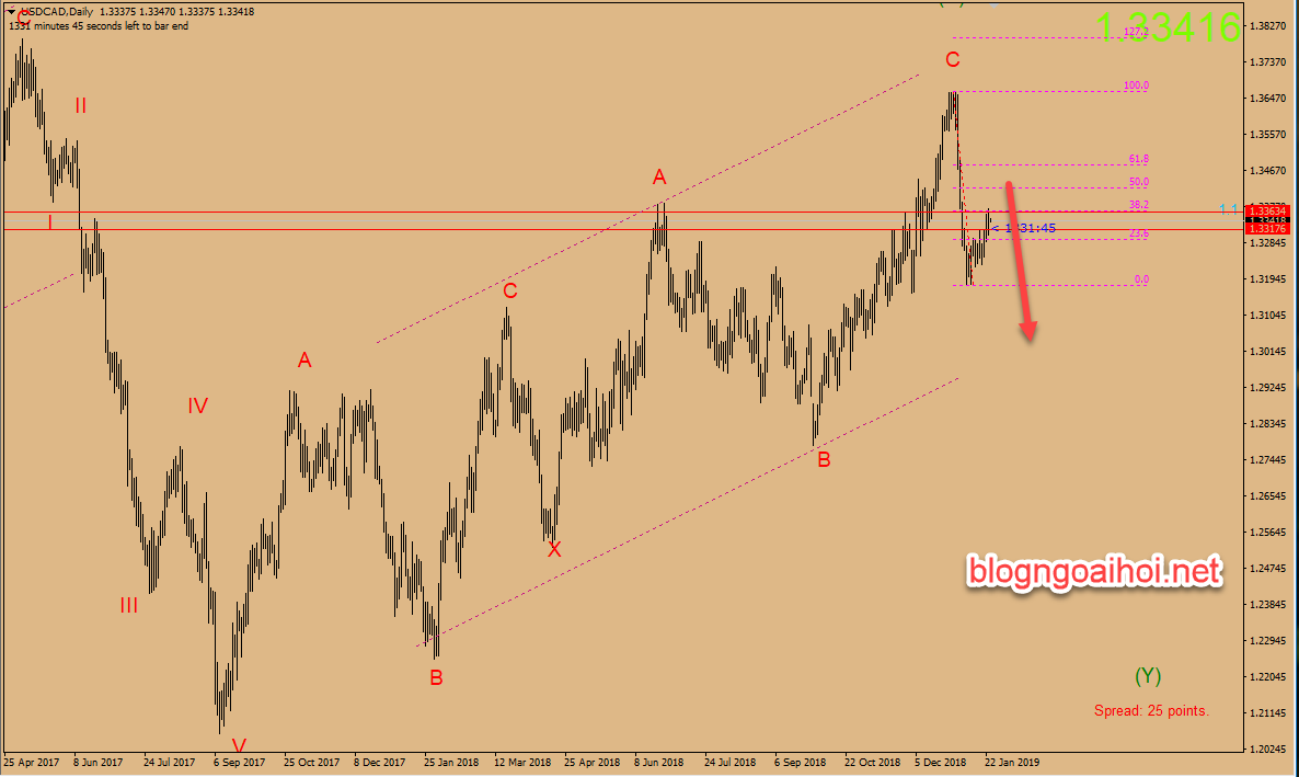 du bao usdcad 24 1