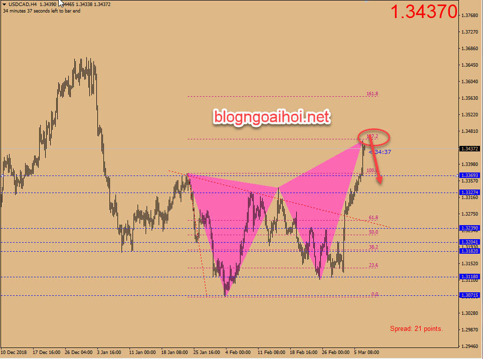 Phân tích USDCAD 7/3-harmonic giảm