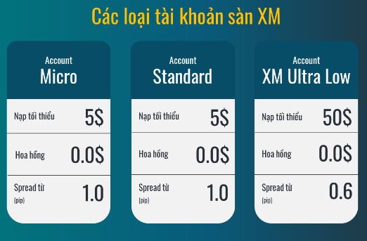 cac loai tai khoan san XM