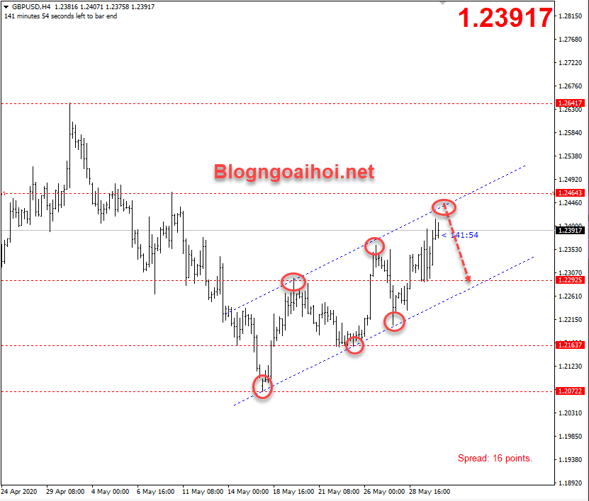 gbpusd 1 6 optimized