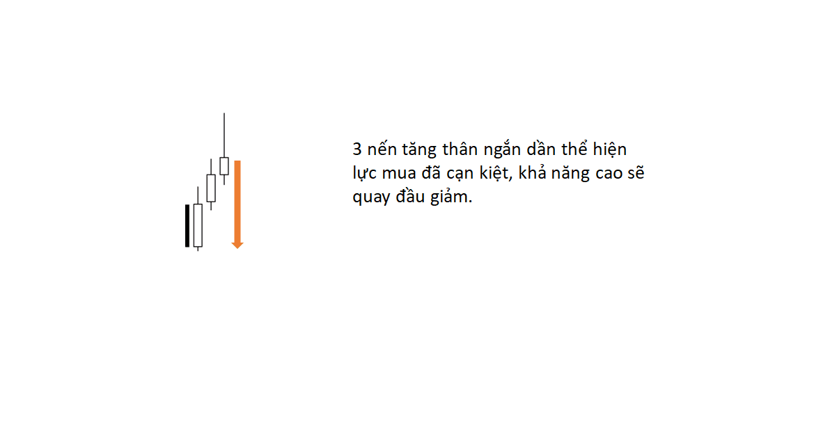 Các mẫu nến quan trọng trong Price action Phần 1