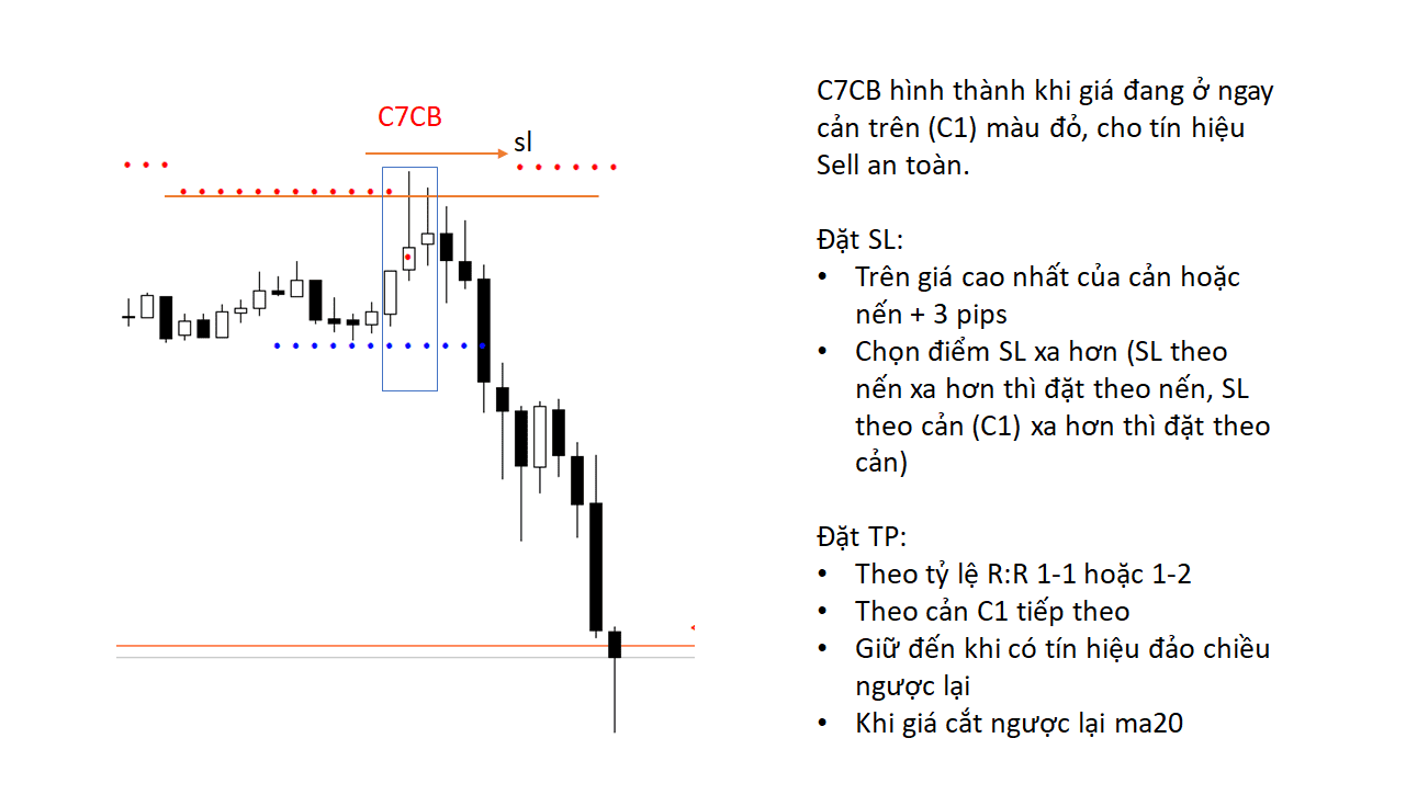 c7cb 3 optimized