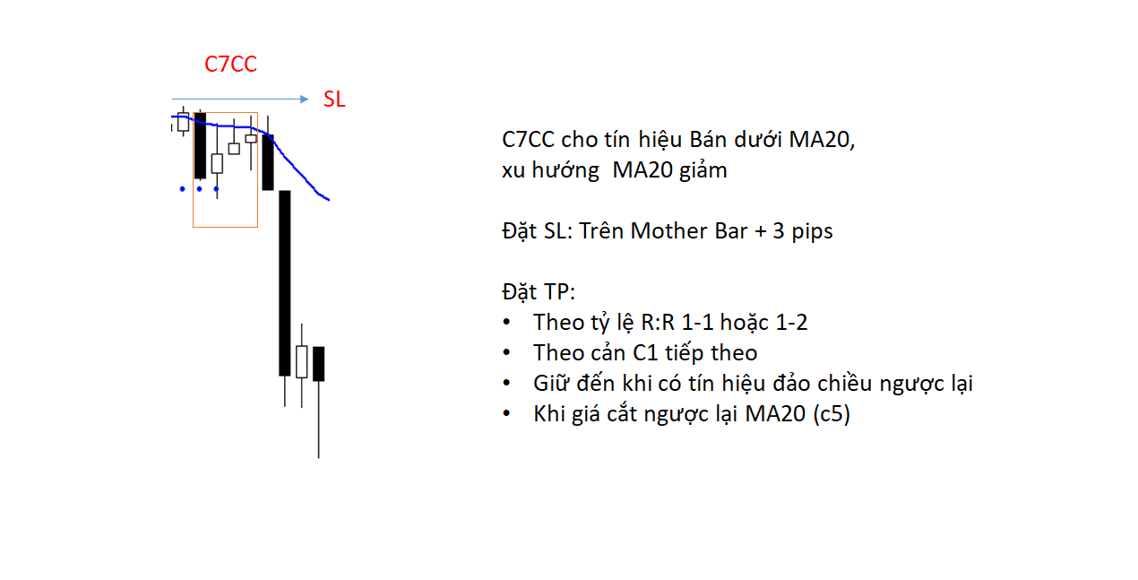 c7cc 2 optimized