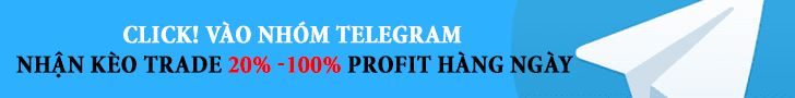 group telegram blog ngoại hối