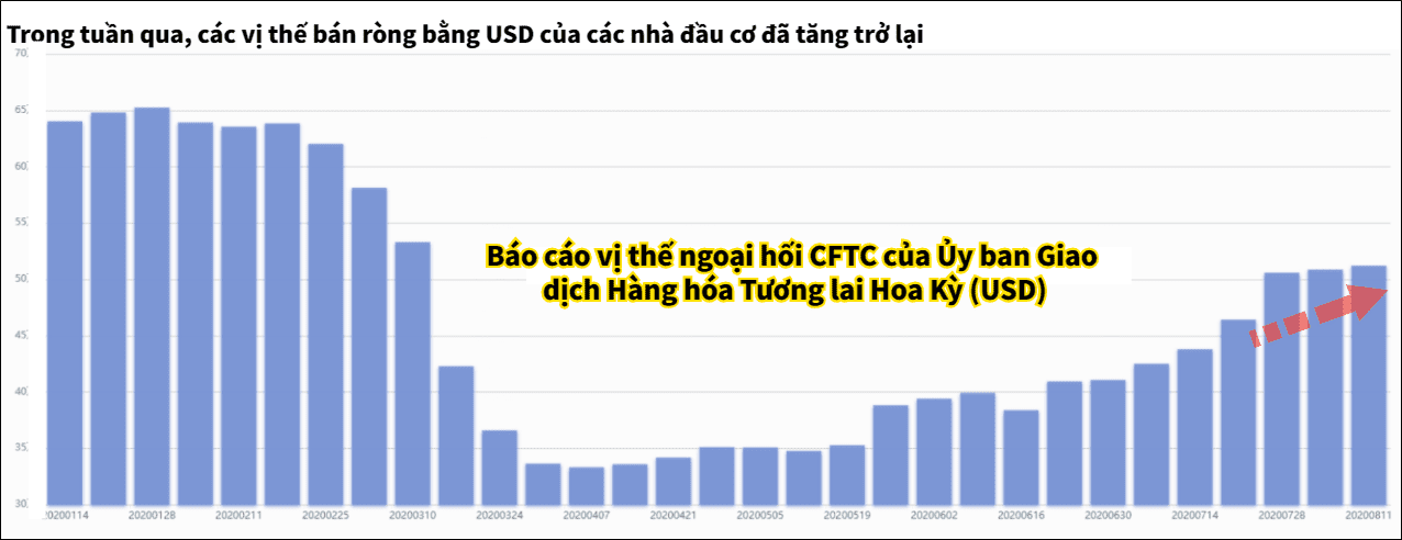 Vị thế bán ròng bằng USD tăng trở lại