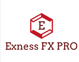 Tìm hiểu tài khoản Pro của Exness