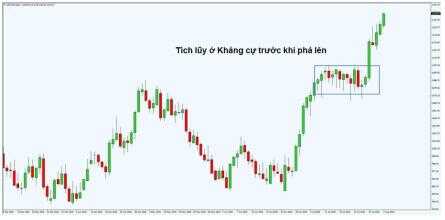 khang cu ho tro 11 optimized