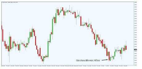 khang cu ho tro 2 optimized