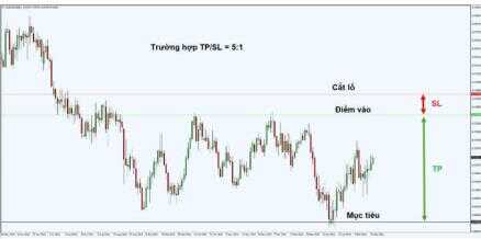 khang cu ho tro 9 optimized