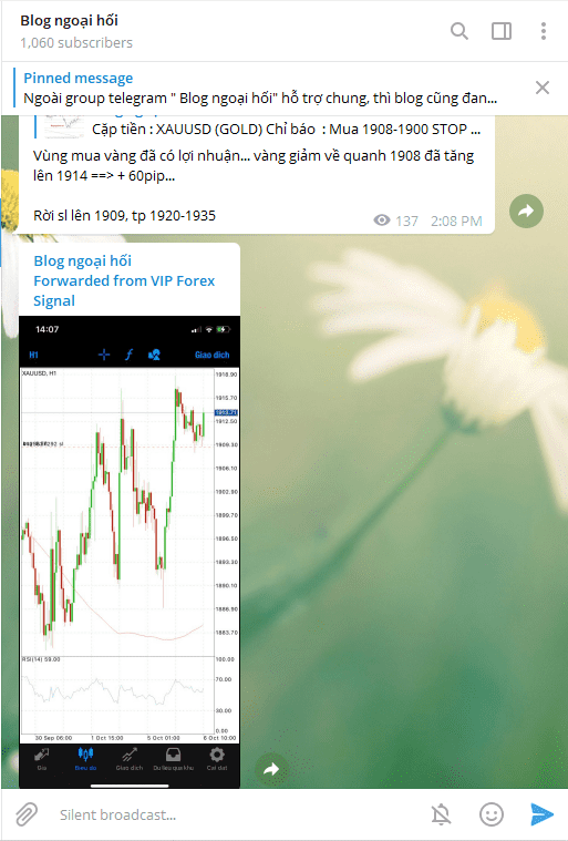telegram vang blogngoaihoi optimized