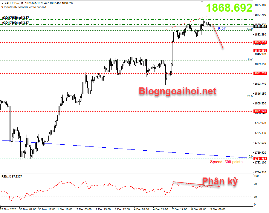 vang 8 12 phan ky giam optimized