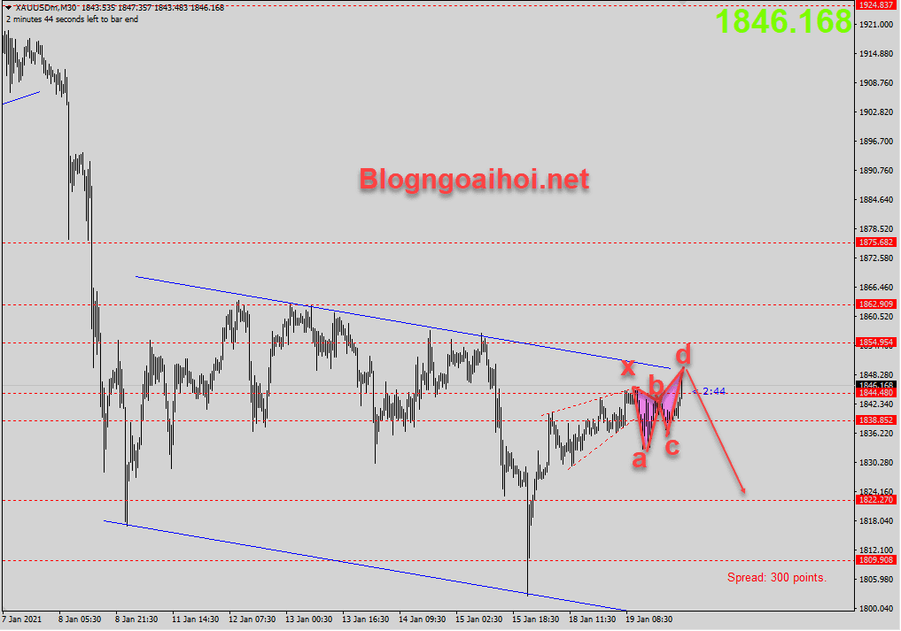 Vàng 20/1 Bearish harmonic