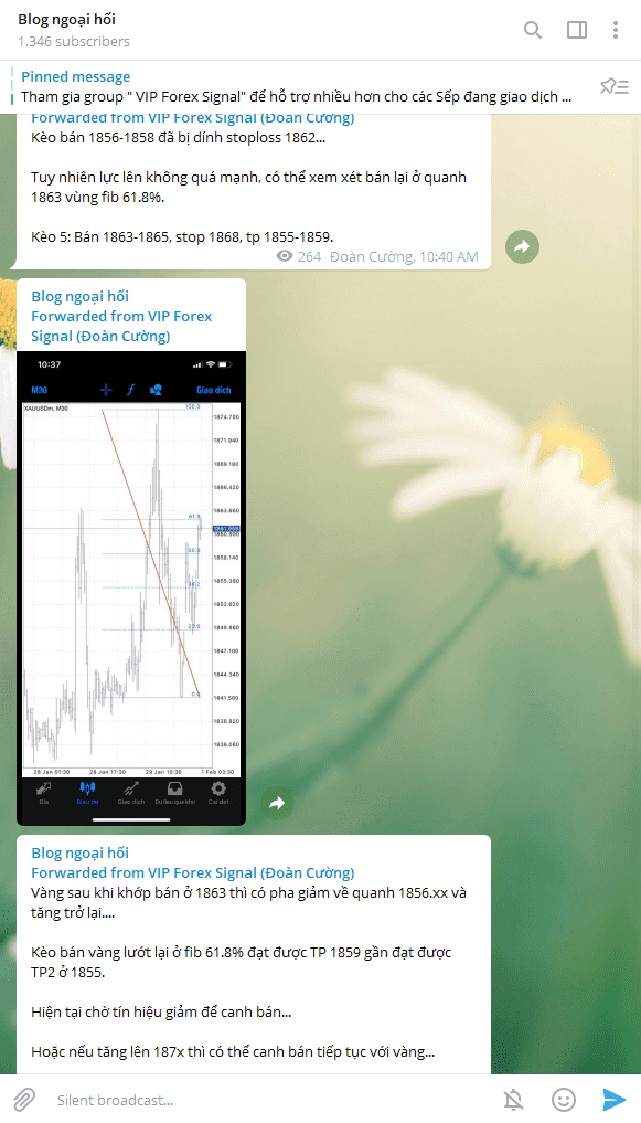 cap nhat telegram vang optimized