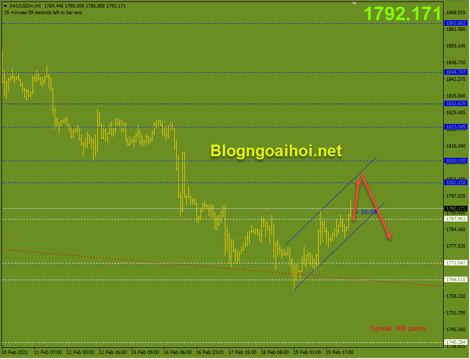 Cập nhật tín hiệu vàng phiên âu 22/2