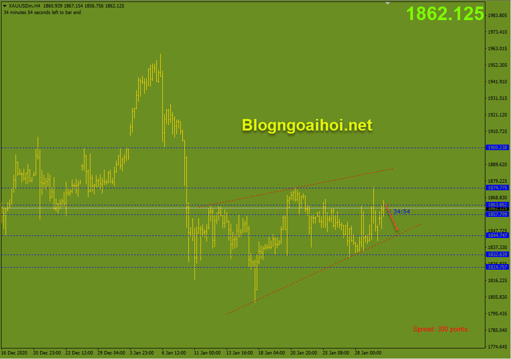 vang 1 2 phien au optimized