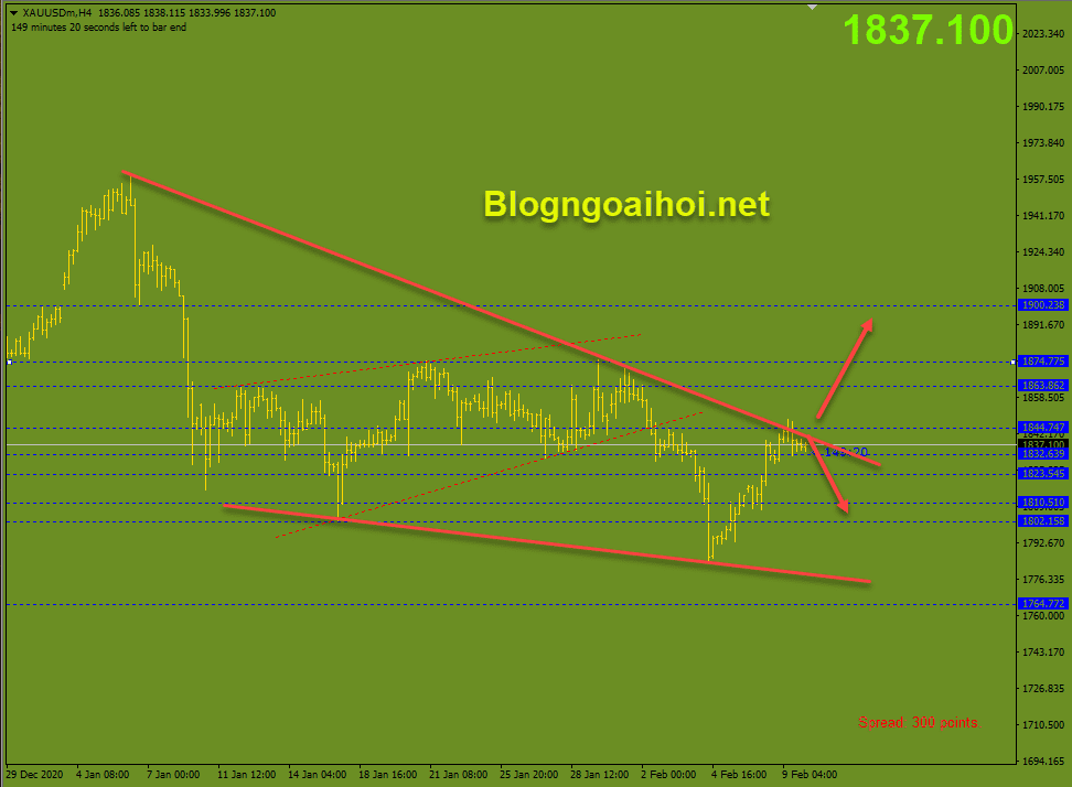 Vàng 10/2-Báo cáo CPI