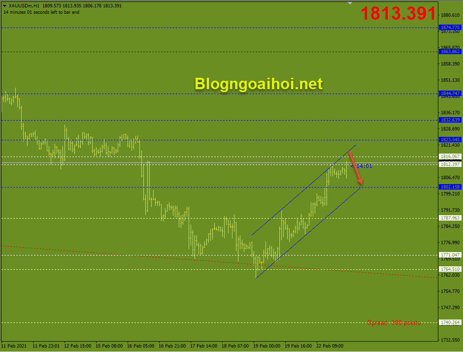 vang cap nhat phien a 23 2 optimized