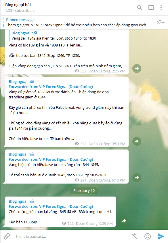 vip telegram blog ngoai hoi optimized