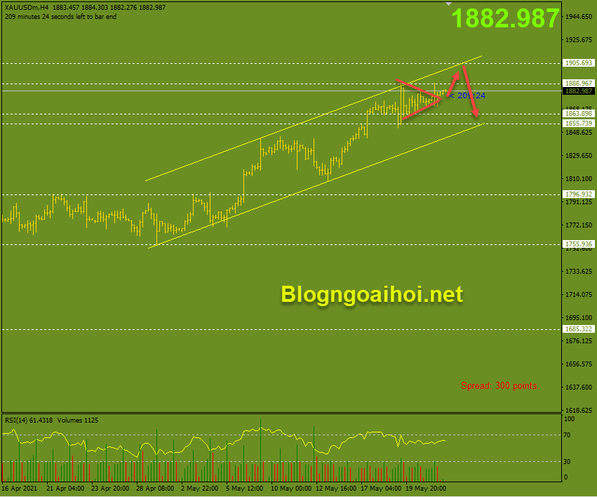 Vàng 24/5-Hướng tăng lên 1900