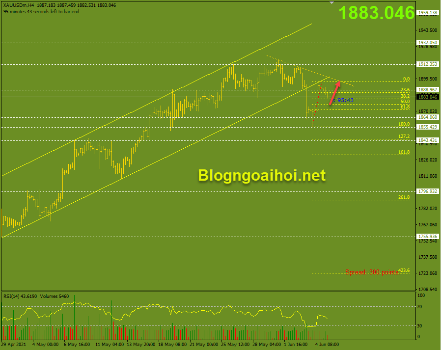 Vang phien au 7 6 fib 50