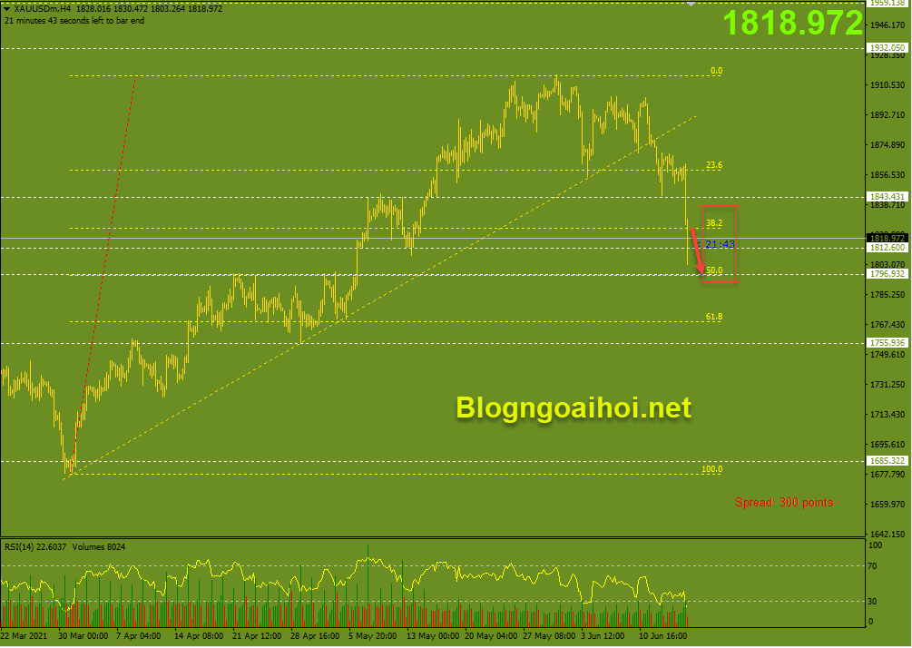 vang 17 6 pha vo trendline optimized