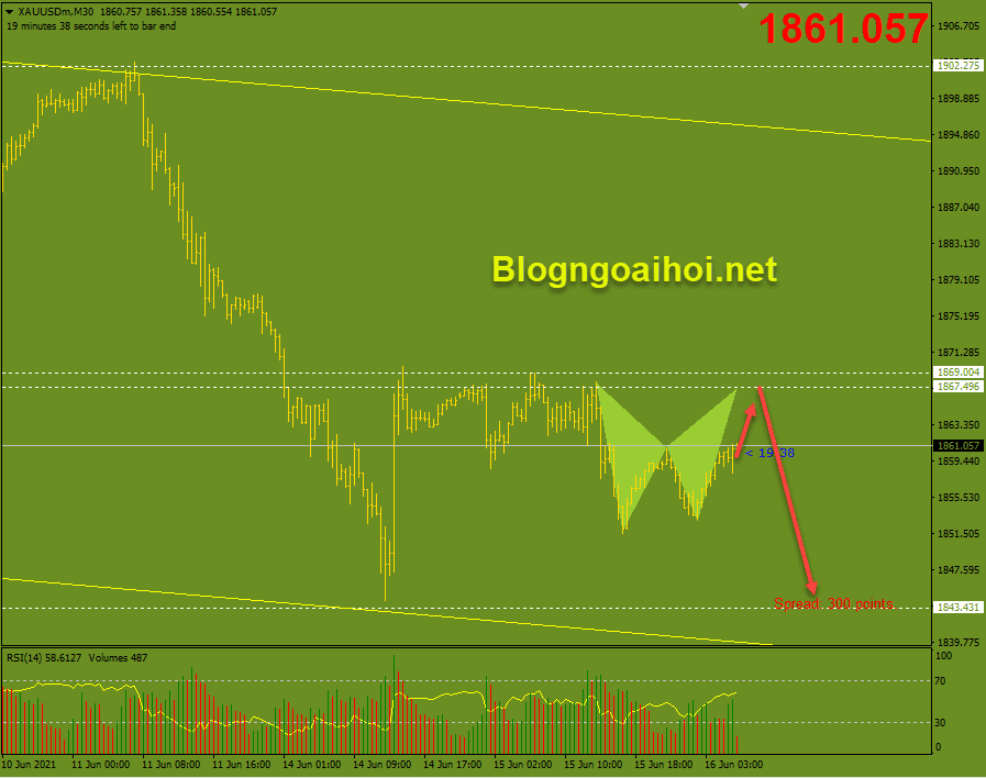 vang phien au 16 6 harmonic giam optimized