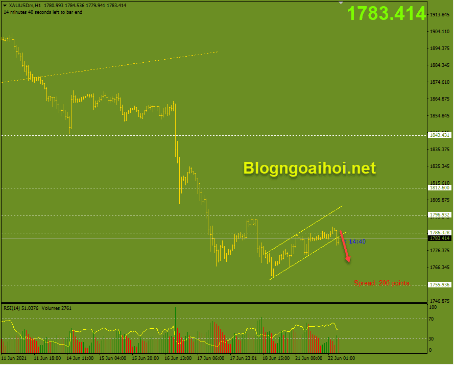 vang phien au 22 6 optimized