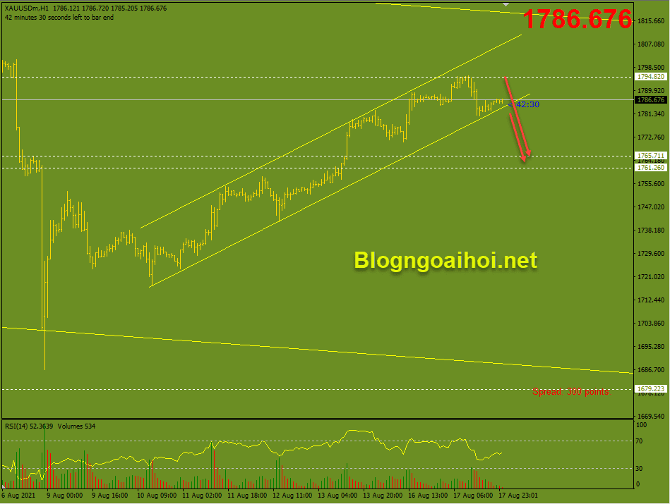 Vàng 18/8-Kênh giá tăng