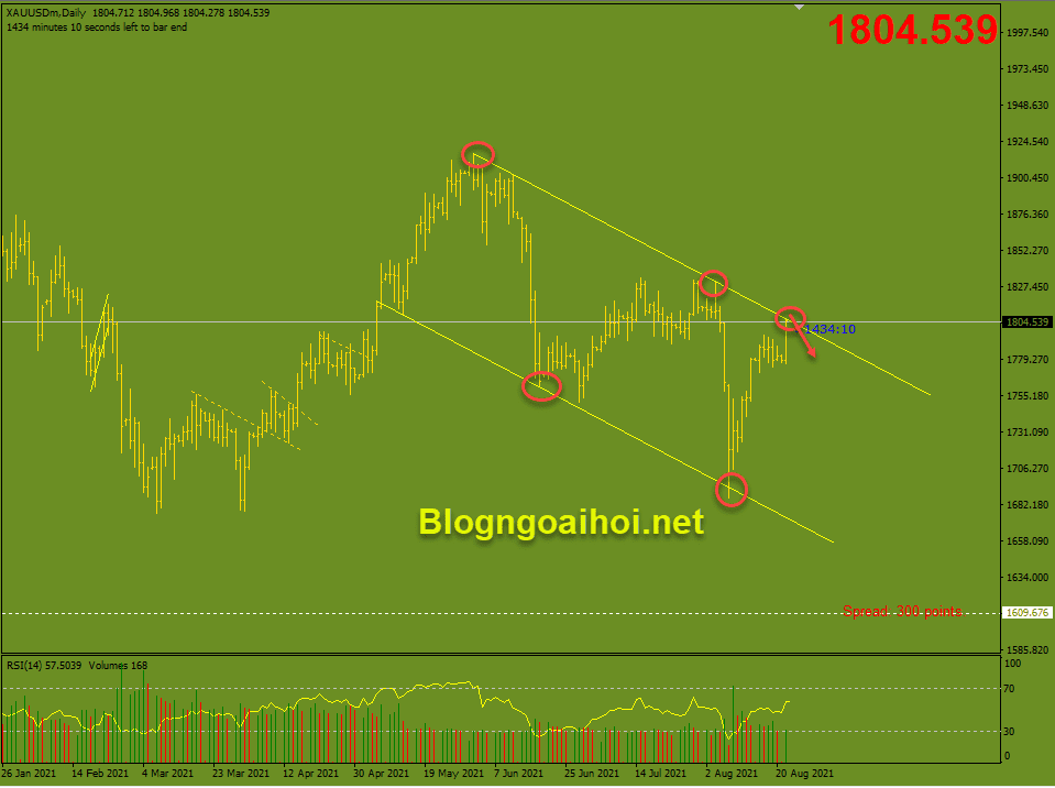 Vàng biểu đồ D1 24/8