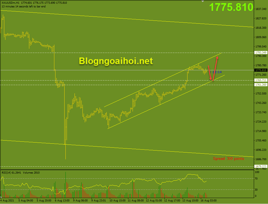 Vàng phiên âu 16/8