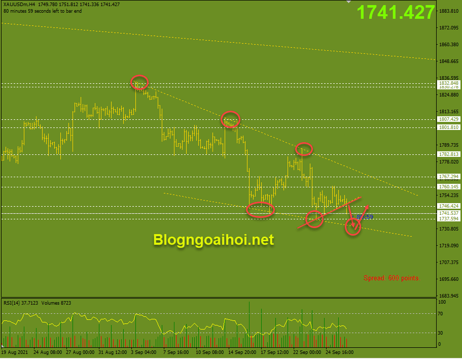 Vàng phiên âu 28/9