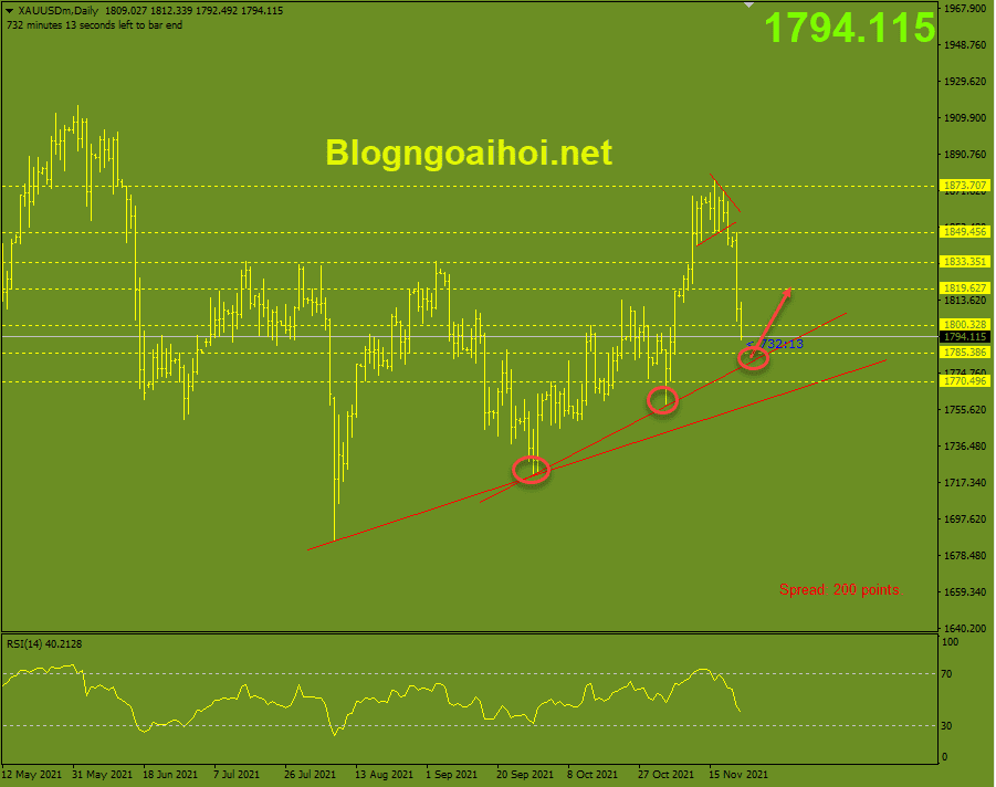 Vàng 23/11-Trendline hỗ trợ tăng