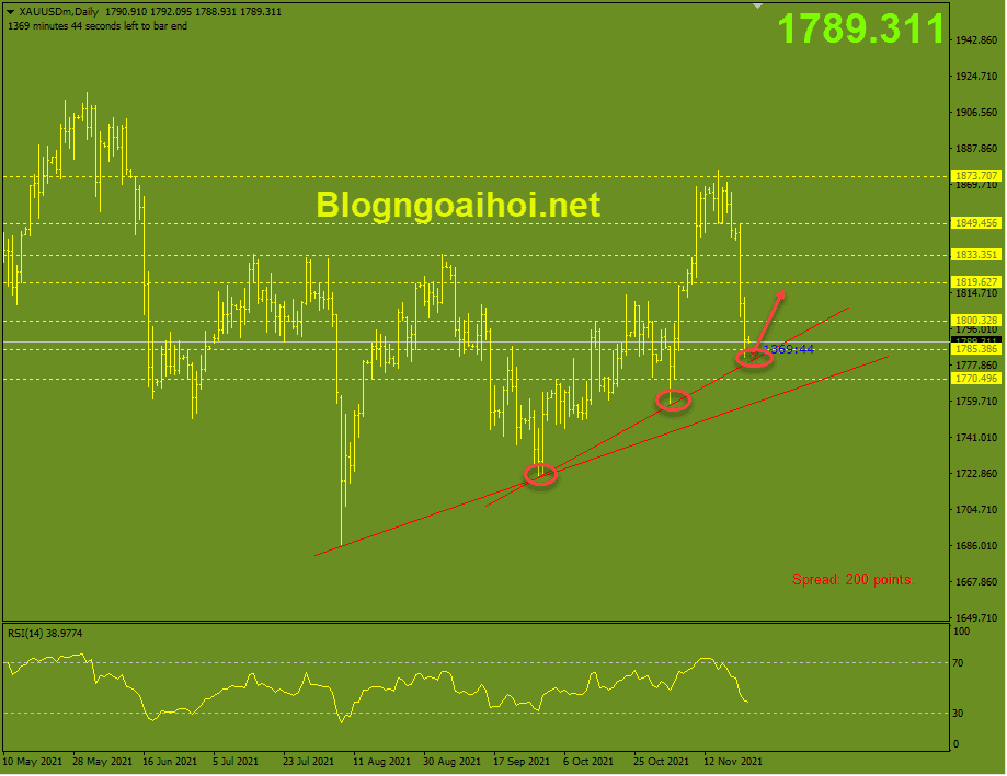 Vàng 24/11-Trendline hỗ trợ tăng