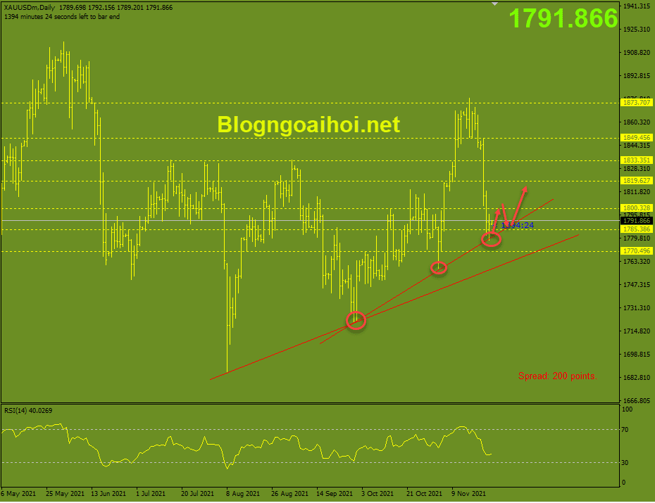 Vàng 26/11- Vàng 25/11-trendline hỗ trợ tăng