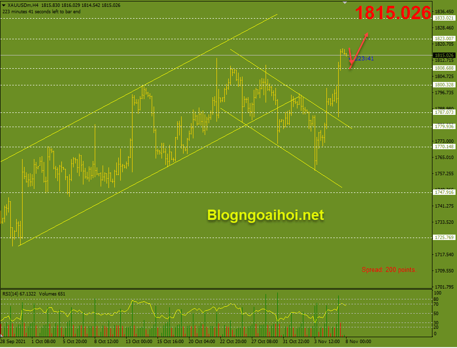 vang 8 11 ho tro tang optimized