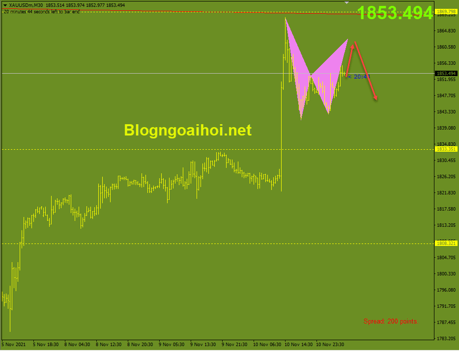 Vàng phiên âu 11/11