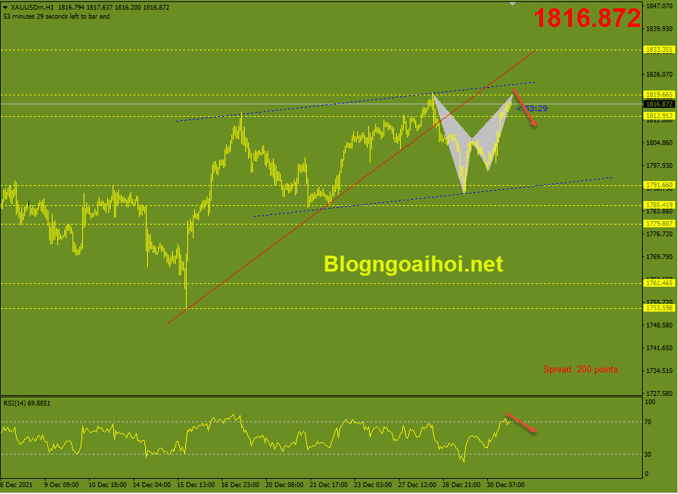 Vàng 31/12-Harmonic giảm